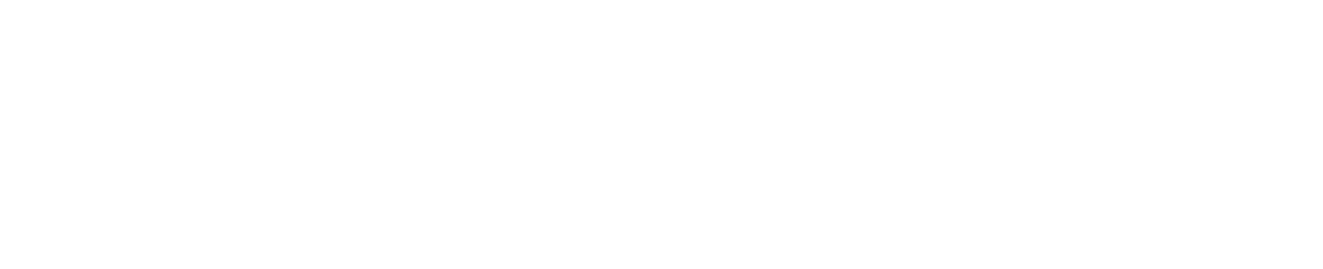 Lakeland Care Plus Logo